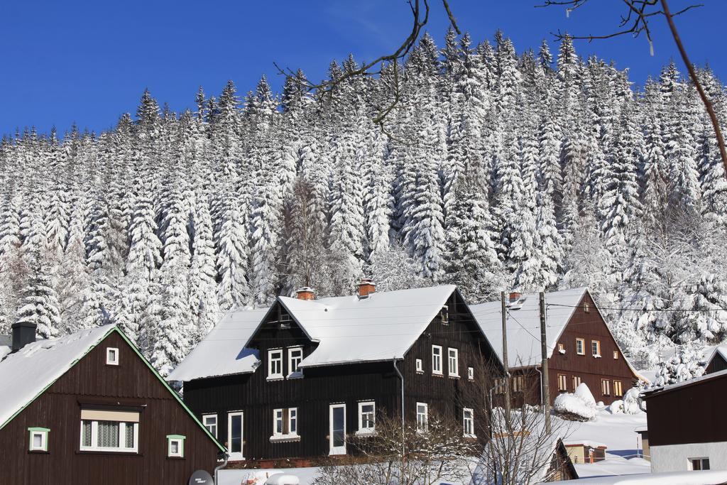 Ferienhaus Anno Dazumal, wie zu Oma`s Zeiten Klingenthal Exterior foto