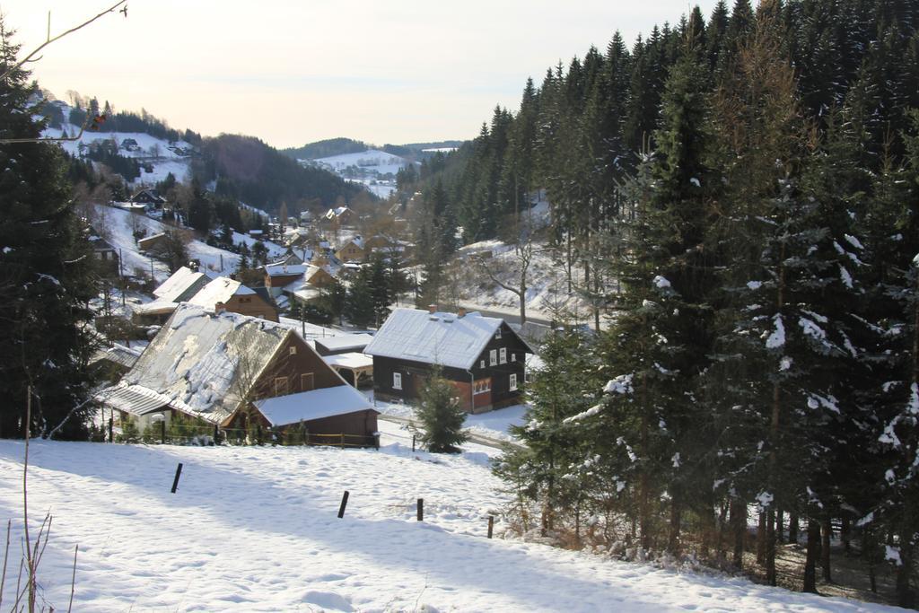 Ferienwohnung Ferienhaus Anno Dazumal, wie zu Oma`s Zeiten Klingenthal Zimmer foto