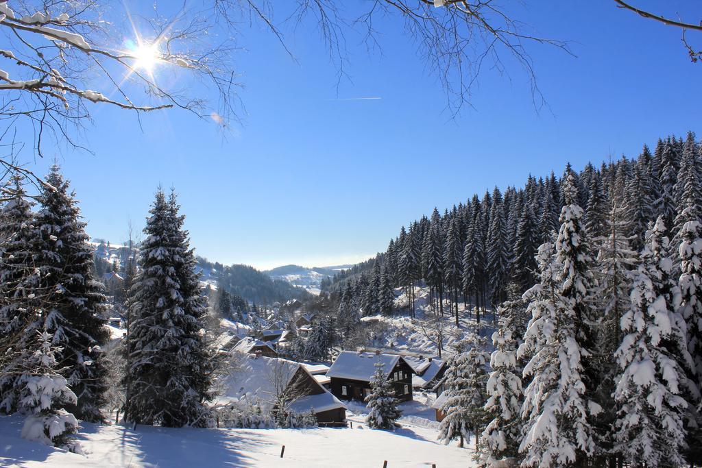 Ferienhaus Anno Dazumal, wie zu Oma`s Zeiten Klingenthal Exterior foto